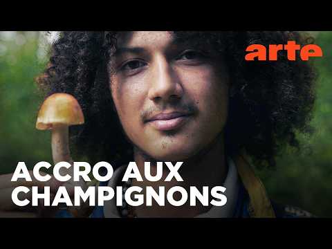 Les champignons ont la cote | Twist | ARTE