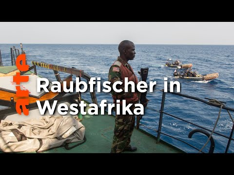 Senegal: Jagd auf die Plünderer der Meere | ARTE Reportage Reupload