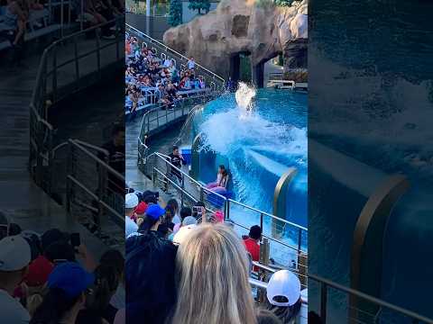 Kids almost swept away by the Orca Killer Whale waves ๐ #shorts #funny #viral #trending #travel