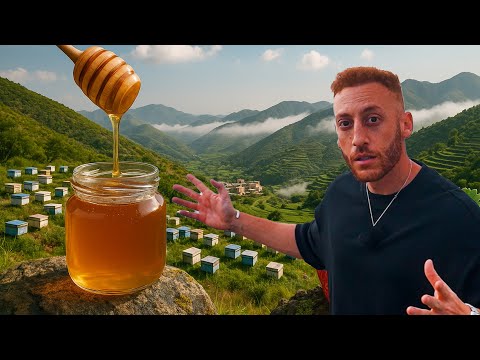 اتصدمت من جنوب السعودية … اجمل من اوروبا 😮 |  🇸🇦 South of Saudi Arabia is Shocking