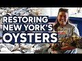 Billion Oyster Project Knowledge Assessment