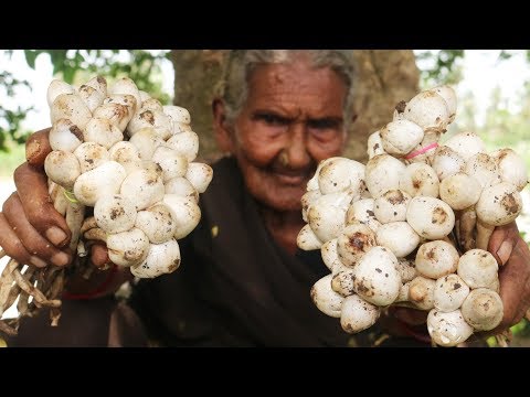 Mushroom Recipe || Traditional Mushroom Curry By Granny Mastanamma