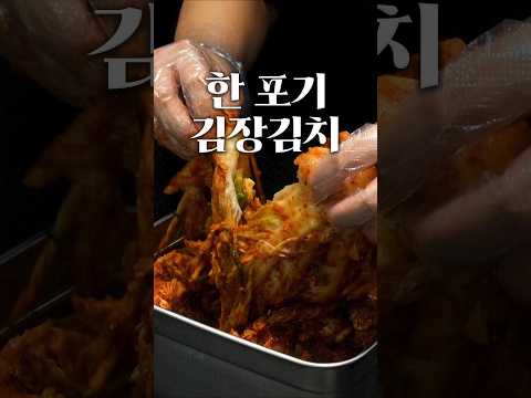김치 딱 한 포기만 담그는 방법