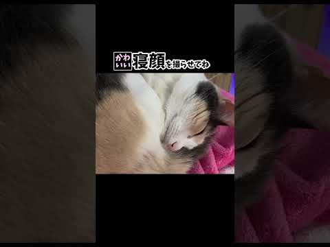 thumbnail_2eppw503ZGY