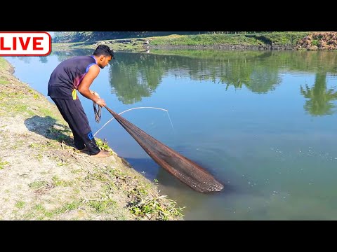 Cast Net Fishing Video - Fish Catching Using by Throw Net in The Beautiful Natural Canal