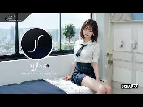 [Dj jr SR] เพลงแดนซ์มันส์ ๆ เบสแน่น ๆ MEGA DANCE Mini Nonstop 2023 Vol.24
