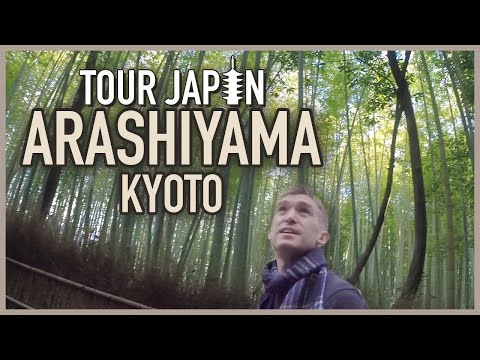 Kyoto's Bamboo Forest & More: Guide to the Arashiyama District