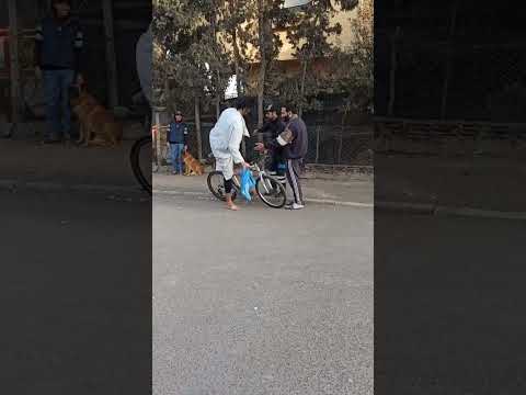بوصمة دار فيها واعر صدق هرب هو والكلب ههههه