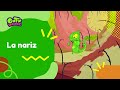 El Mundo del Camaleón y la Nariz Humana
