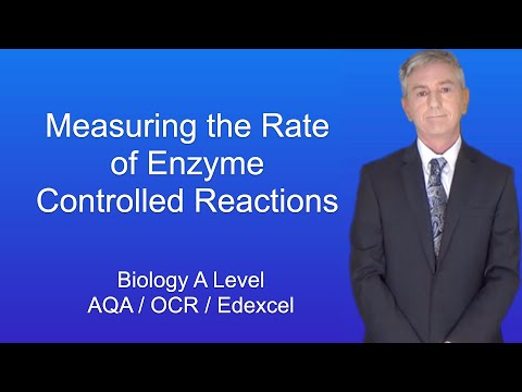 A Level Biology Revision “Measuring the Rate of Enzyme Controlled Reactions”