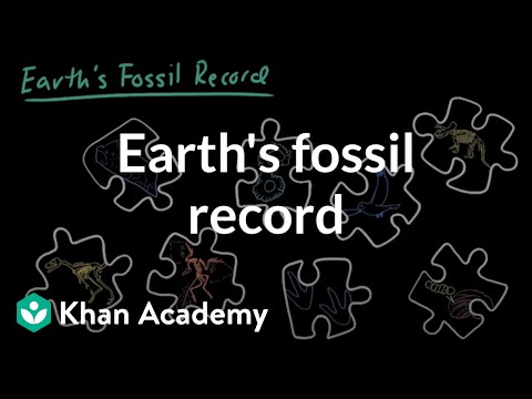 Earth’s fossil record | Evolution | Middle school biology | Khan Academy
