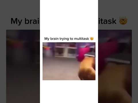 Dog's morning routine 🤪 #shorts