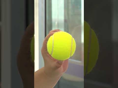 大きさ検証!テニスボールは電車のつり革を通るのか??【京王電鉄へぇ?なネタ】