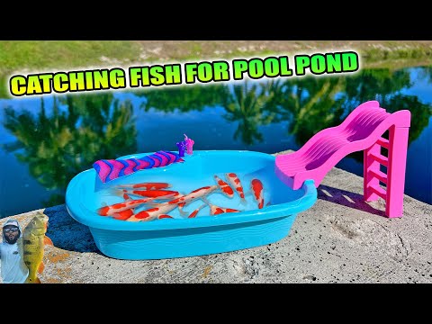 Catching Pet Fish for Pool Pond | Monster Mike Fishing
