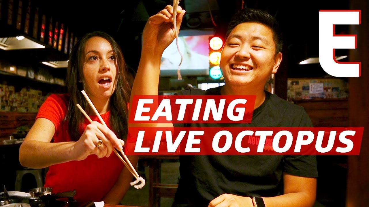 How To Eat Live Octopus K-Town