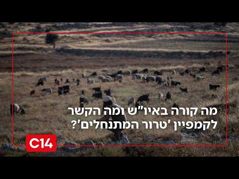 אלימות קשה נגד מתיישבים: מה קורה באיו"ש ומה הקשר לקמפיין 'טרור המתנחלים'?