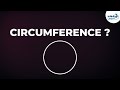 Understanding Pi and Circle Measurements