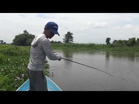 Fishing Papuan Black Bass with Gong Lei