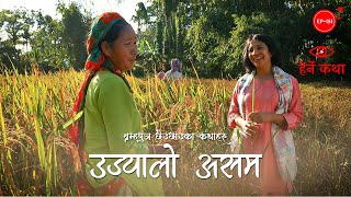 उज्यालो असम | Ujyalo Assam | Herne Katha EP151 - हेर्ने कथा