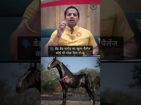 #horse #ekmotahathighumechala