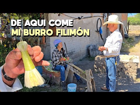 HACIENDO PEINES DE LECHUGUILLA CON SARITA @LaIndiaBlancaMX