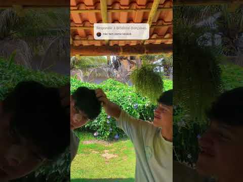 Mateus puxando a Xuxinha #comedia #shorts