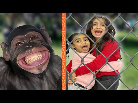 جوجو وروزا دخلو قفص  القرود 🐒😰الحصان حاول يعض كنان😰😰😰