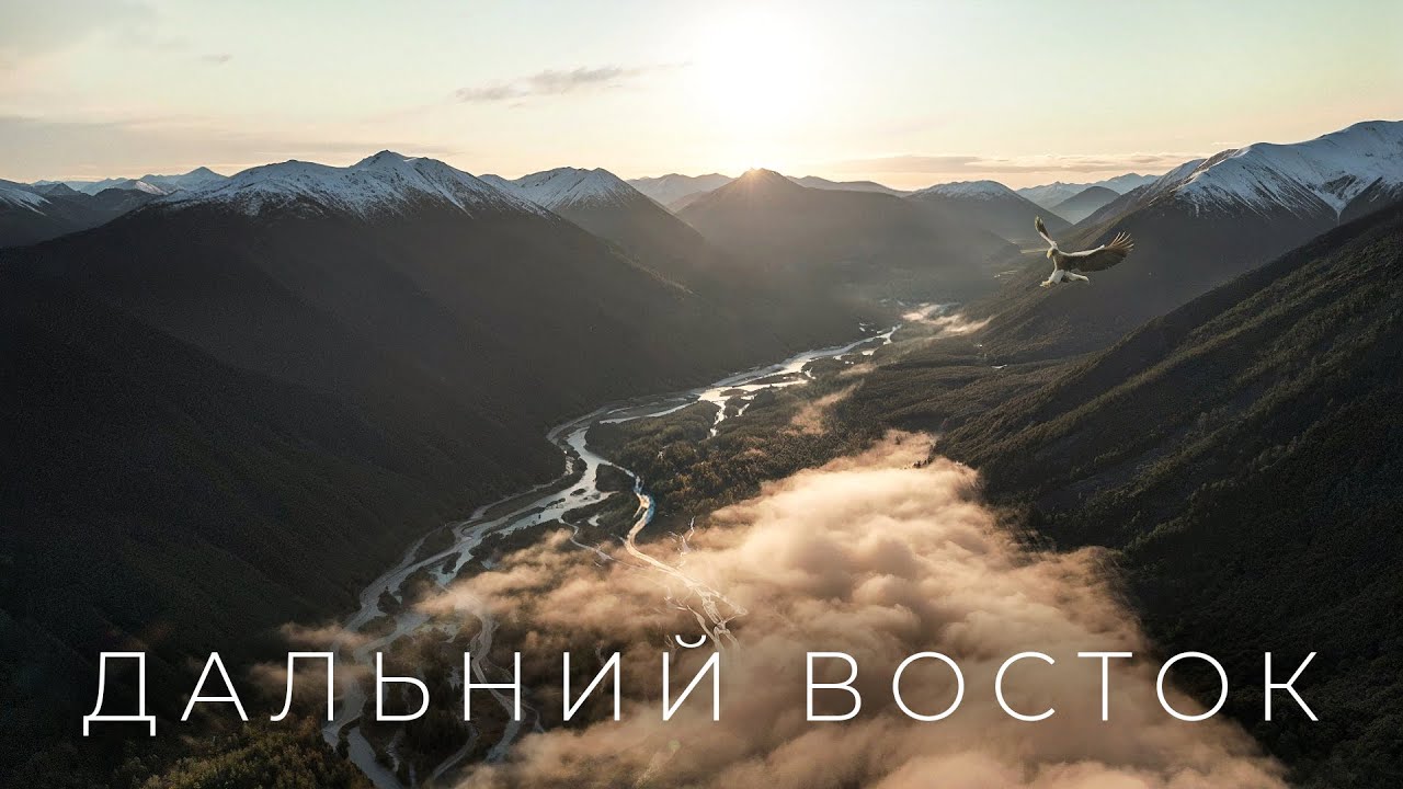 15 дней в лесу - выживание среди медведей - дальний восток