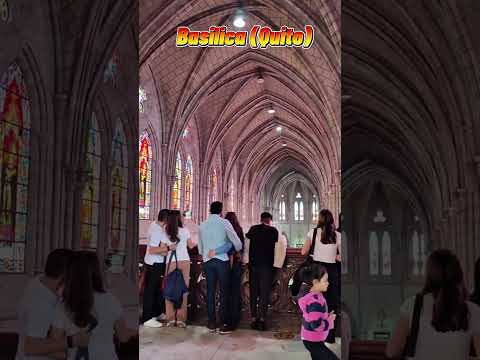 Basilica (Quito) #creatorsearchinsights #turismo #ecuador #basilica #iglesia