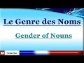 Exploring Feminine Forms in French Nouns