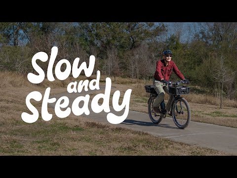 Slow & Steady | Stellar Falcon