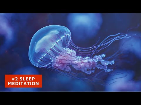 #2 Dreamy Meditation – Relax Into Deep Sleep | The Inner Balance Flow