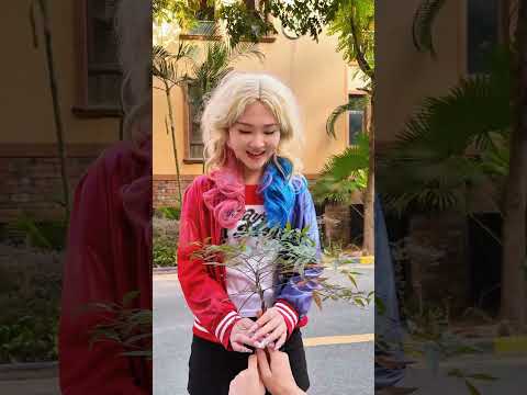 真诚的哈莉奎茵获得了爱情和财富#Harley Quinn #joker