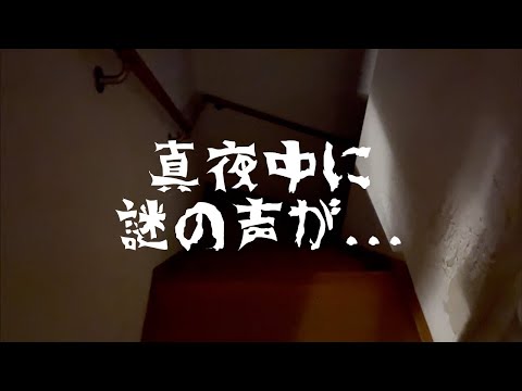 真夜中に聴こえてきた謎の声の正体とは...