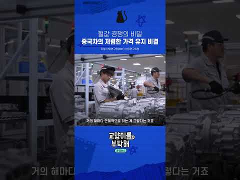 헐값 경쟁의 비밀 중국차가 저렴한 가격을 <strong>유지하는</strong> 비결 #교양이를부탁해 #현대차 #중국전기차 #BYD #전기차 #자동차산업 #보스턴다이내믹스 #피지컬AI