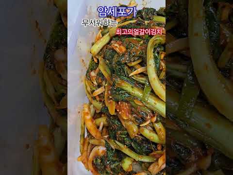 <strong>얼갈이김치</strong>#너무맛있어요