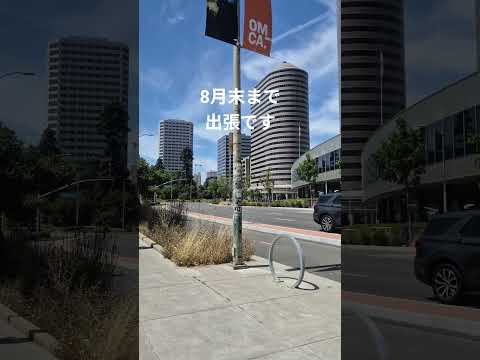 カリフォルニア出張中。ヤシンクラス9月再開予定です