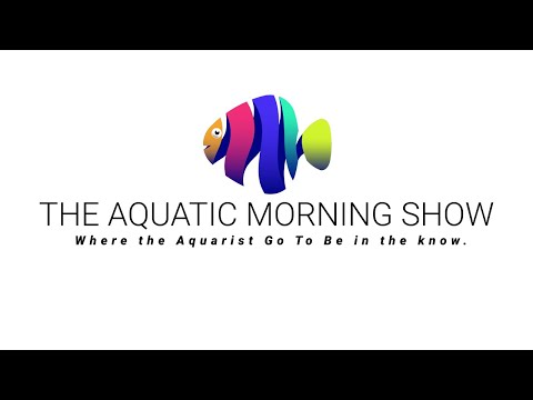 The Aquatic Morning Show / Afternoon unconventiona The Aquatic Morning Show is a YouTube channel that features videos about all things aquatic, includi