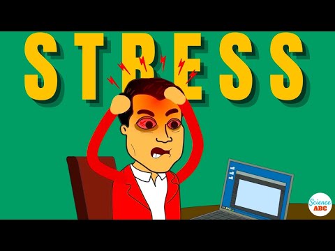 Is Stress Killing You Slowly - 10 Warning Signs to Watch For