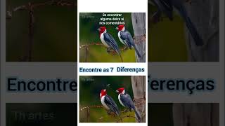 encontre as diferenças
