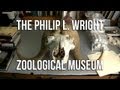 Museum Roles and Specimen Preparation