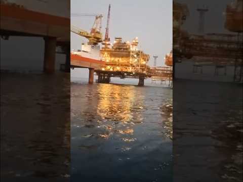 Oil Rigs Feeding Food not Allowed!Whale Sharks no Value for Meat! అందుకే మనుషులు వదిలేస్తారు!Facts