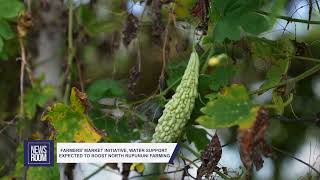 YouTube video thumbnail: Farmers’ Market Initiative, Water Support Expected to Boost North Rupununi Farming