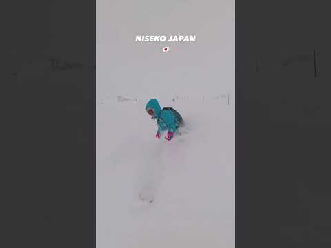 Another snowboarding video from Niseko, Hokkaido🇯🇵🏂❄️
