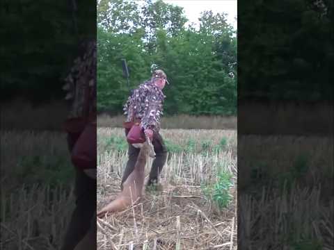 "One Shot, Then Silence – Wait for the End (Roe Deer Hunt)"#RoeDeer#RoeDeerHunting#DeerHunting