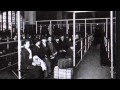 Immigration and Urbanization Concepts