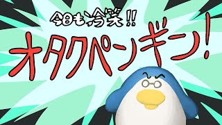 今日も冷笑！オタクペンギン！