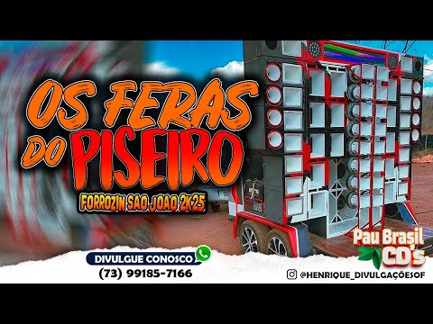 FORROZIN SAO JOAO 2K25 - OS FERAS DO PIZEIRO - CD PRA PAREDÃO - PLAYLIST FORRO MÉDIOS GRAVES