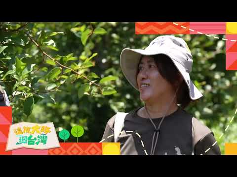 這條大路迵台灣EP10預告｜尋找客家文化路徑