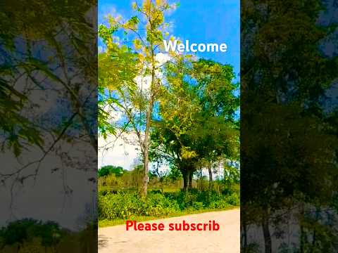 ladies andgentlemen welcomes 🇮🇳🌿🌿🌿🤩🤩please like #song #shorts #minivlog